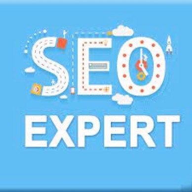 search engine optimization services